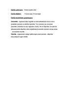 Referāts 'Mainība', 2.