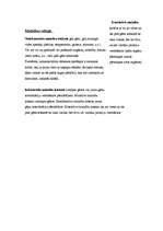 Referāts 'Mainība', 4.