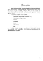 Biznesa plāns 'SMF "Made by Hand"', 6.