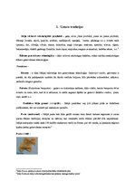 Konspekts 'Itāļu virtuves raksturojums', 6.