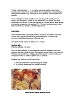 Konspekts 'Paleolīta mākslas vispārējs raksturojums', 2.