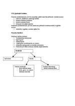 Konspekts 'Tiesību teorija', 10.