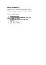 Konspekts 'Tiesību teorija', 11.