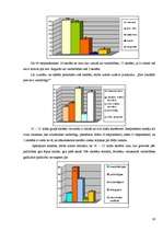 Referāts 'Vienaudžu vardarbība Brocēnu vidusskolā', 19.