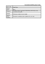 Prakses atskaite 'Pauerliftings, trenera gada plāns', 16.