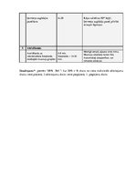 Prakses atskaite 'Pauerliftings, trenera gada plāns', 20.