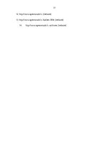 Prakses atskaite 'Ogres novada ieguldījums Rīgas plānošanas reģiona sociālekonomiskajā attīstībā', 31.