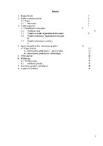 Biznesa plāns 'Investīcijas īpašuma attīstība', 2.