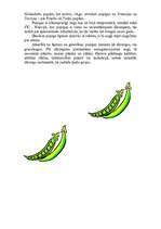 Referāts 'Pupiņas', 3.