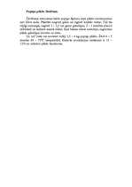 Referāts 'Pupiņas', 10.