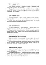 Referāts 'Pupiņas', 17.