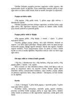 Referāts 'Pupiņas', 19.