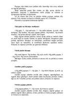 Referāts 'Pupiņas', 32.