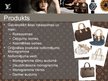 Prezentācija 'Zīmola "Louis Vuitton" analīze', 10.
