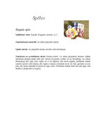 Paraugs 'Sporta stafetes', 2.