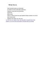 Eseja 'Idejas apraksts biznesā, lai veidotu restorānu', 2.