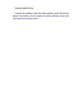 Eseja 'Idejas apraksts biznesā, lai veidotu restorānu', 5.