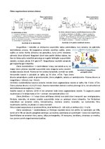 Referāts 'Ūdens apgāde un kanalizācija', 7.