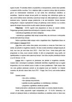 Referāts 'Datora lietotāja rokasgrāmata', 8.