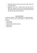 Referāts 'Datora lietotāja rokasgrāmata', 12.