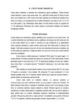 Referāts 'Datora lietotāja rokasgrāmata', 18.