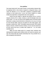 Referāts 'Datora lietotāja rokasgrāmata', 19.