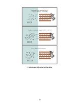 Referāts 'Atmosfēras piesārņojums', 22.