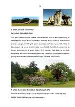 Referāts 'Tūrisma vēsturiskā attīstība Salaspilī', 19.
