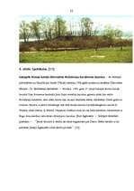 Referāts 'Tūrisma vēsturiskā attīstība Salaspilī', 22.