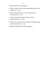 Referāts 'Tūrisma vēsturiskā attīstība Salaspilī', 27.