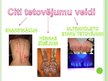 Prezentācija 'Tetovējumi un pīrsingi', 7.