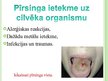 Prezentācija 'Tetovējumi un pīrsingi', 14.