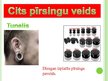 Prezentācija 'Tetovējumi un pīrsingi', 16.
