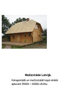 Konspekts 'Mežsaimnniecība Latvijā', 6.