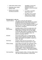 Konspekts 'Vēsture pamatskolai', 5.