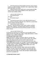 Konspekts 'Vēsture pamatskolai', 7.