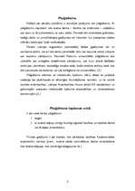 Referāts 'Plaģiātisms', 4.