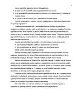 Konspekts 'Grāmatvedības organizācijas dokumenti. Grāmatvedības formas, to raksturojums', 3.