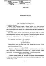 Diplomdarbs 'Grāmatvedības konti un divkāršais ieraksts uzņēmumā SIA "x"', 34.