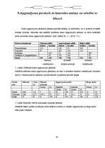 Diplomdarbs 'Grāmatvedības konti un divkāršais ieraksts uzņēmumā SIA "x"', 39.