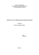 Eseja 'Vadīšana un uzņēmuma organizatoriskā struktūra', 1.