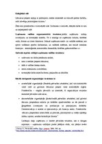 Eseja 'Vadīšana un uzņēmuma organizatoriskā struktūra', 6.