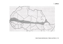 Referāts 'Pārtikas problēmas pasaulē', 26.
