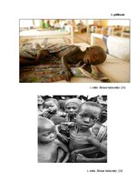 Referāts 'Pārtikas problēmas pasaulē', 27.