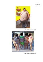 Referāts 'Pārtikas problēmas pasaulē', 28.