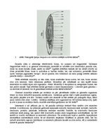 Konspekts 'Zivju parazīts Sanguinicola inermis', 2.
