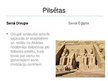 Prezentācija 'Senā Divupe un Senā Ēģipte', 12.
