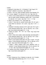 Referāts 'Latvijas neveiksmīgā alianšu politika starpkaru periodā', 19.