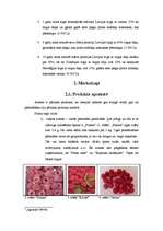 Biznesa plāns 'Biznesa plāns aveņu ražošanai', 3.