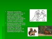 Prezentācija 'Ekoloģisko faktoru daudzveidība', 5.